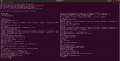 Thumbnail for version as of 01:48, 9 April 2022