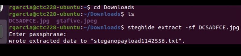File:Steginfo2.jpg
